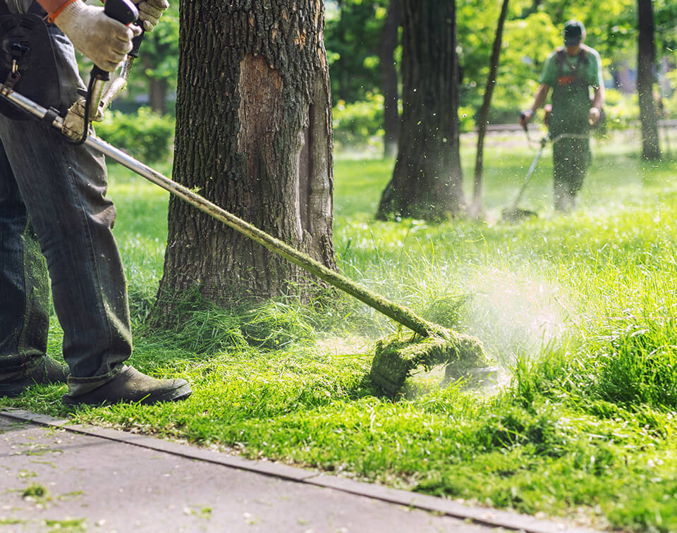 Capitan Lawn Care Services, Tree Service and Lawn Maintenance Services